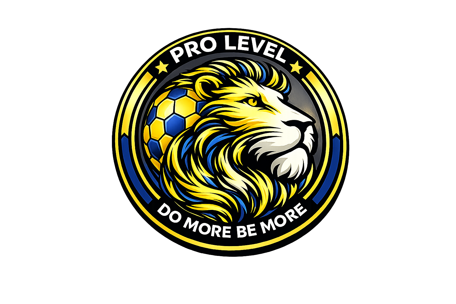 Pro Level Development